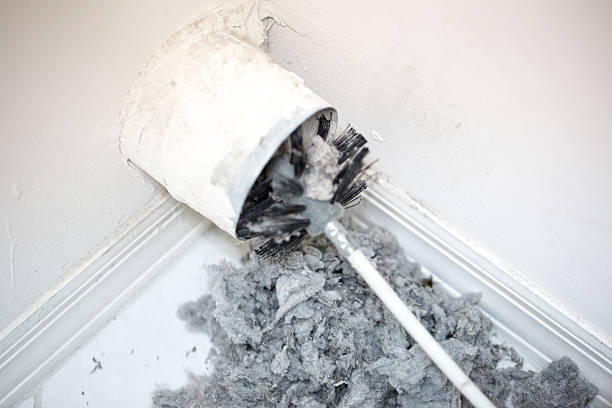 Best Air Duct Sanitizing Services  in Oswego, NY